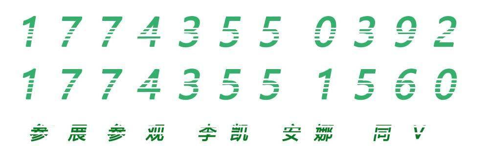 电动心脏的跳动：2024北京与武汉的锂电池技术展览会点亮新能源梦想！(图2)