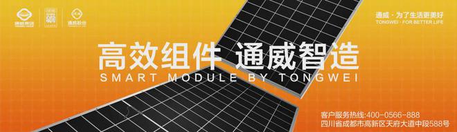 2024第七届中国国际光伏与储能产业大会暨全球光储创新技术大会隆重举行(图7)