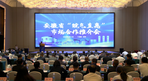 聚力共赢创新合作降本增效气惠江淮安徽省能源局创新组织皖气直惠天然气市场合作推介会(图1)