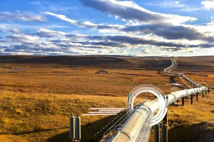 重磅！国家敲定“十四五”能源路线图！油气行业十大要点(图3)