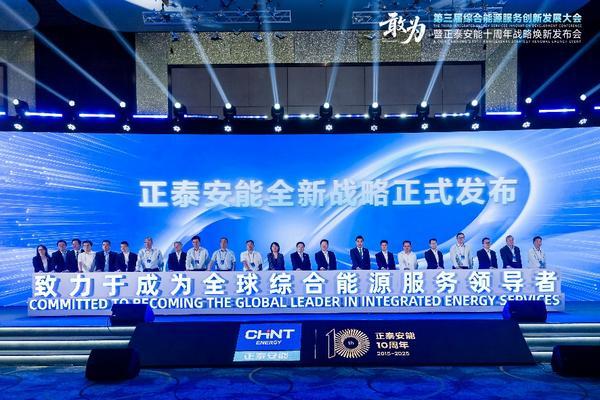 敢为第三届综合能源服务创新发展大会在沪举办(图7)