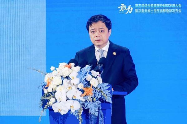 敢为第三届综合能源服务创新发展大会在沪举办(图2)