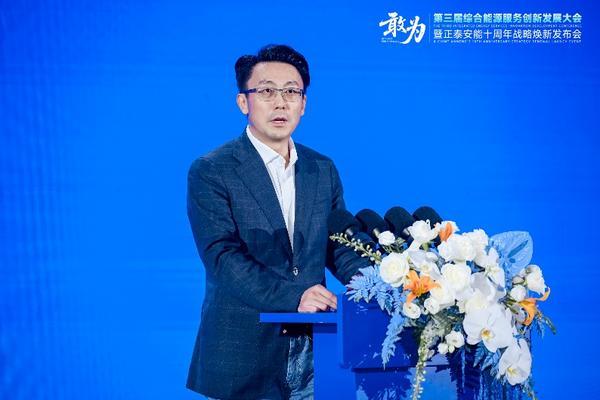 敢为第三届综合能源服务创新发展大会在沪举办(图5)