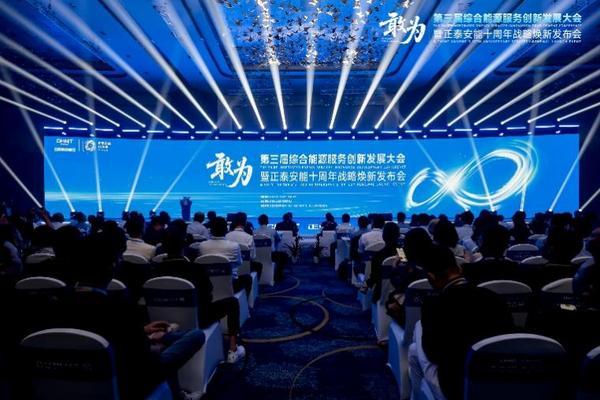 敢为第三届综合能源服务创新发展大会在沪举办(图1)
