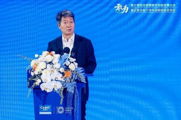 敢为第三届综合能源服务创新发展大会在沪举办(图3)