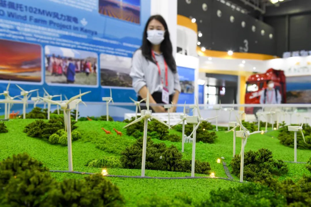 东西问丨邓玉萍：中非共“逐”绿如何转动共赢之匙？(图2)