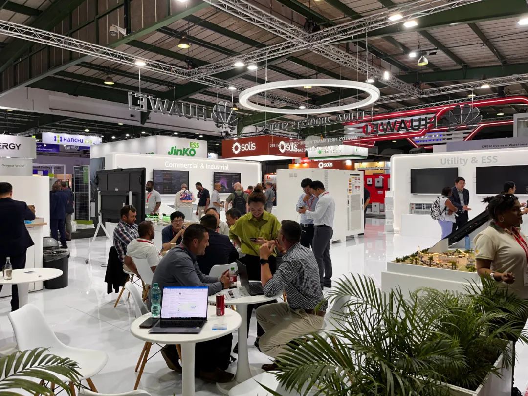 东西问丨邓玉萍：中非共“逐”绿如何转动共赢之匙？(图1)