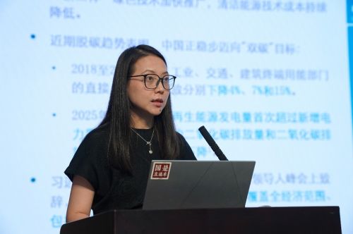 绿色低碳成中国经济增长新动能专家称要坚定能源转型(图3)