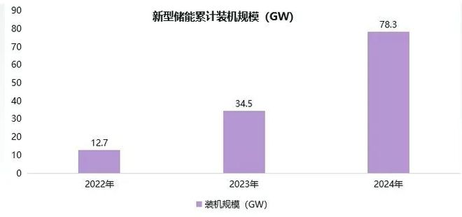 《中国能源数据报告（2025）》重磅发布(图19)