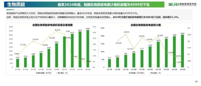 《中国能源数据报告（2025）》重磅发布(图17)