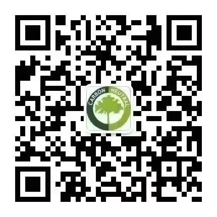 双碳研究全球可再生能源目标面临严峻挑战(图1)
