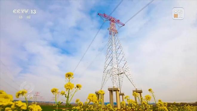 焦点访谈丨“含绿量”不断提升“十四五”中国能源发展交出亮眼成绩单(图4)