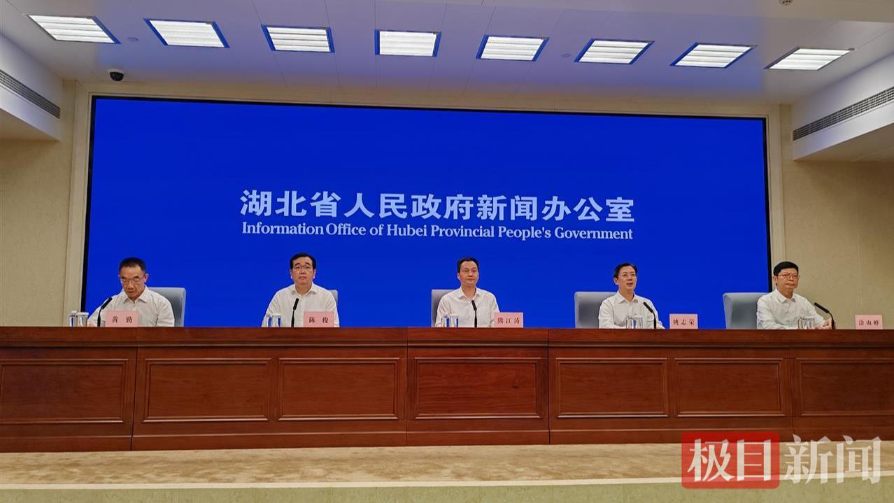 新能源成为第一大电源湖北新型能源产业规模突破两千亿(图1)