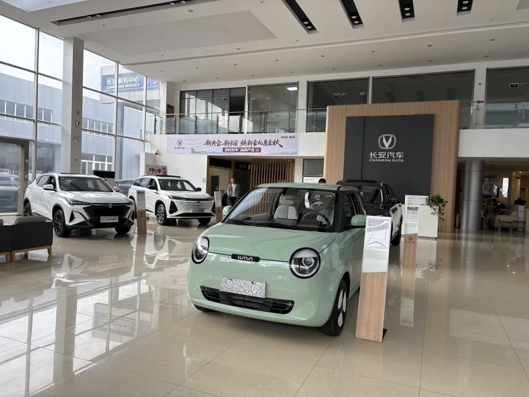 首次跌破16万元！新能源车降价了纯电降得最狠(图5)