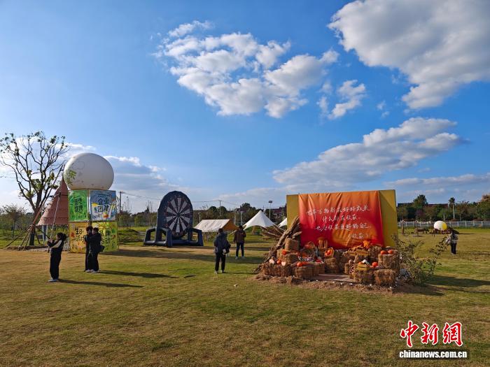 从草坪经济到海洋科技江苏南通多元探索绘新卷(图1)