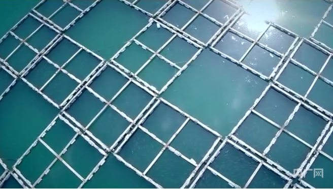 高质量发展看中国丨一座海滨小城的绿色能源跨越路(图2)