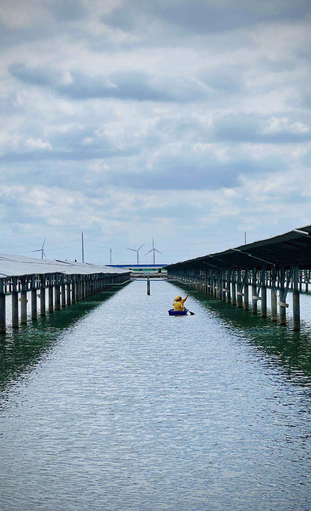 绿电竞“速”：山东新能源行业正经历关键转型(图4)