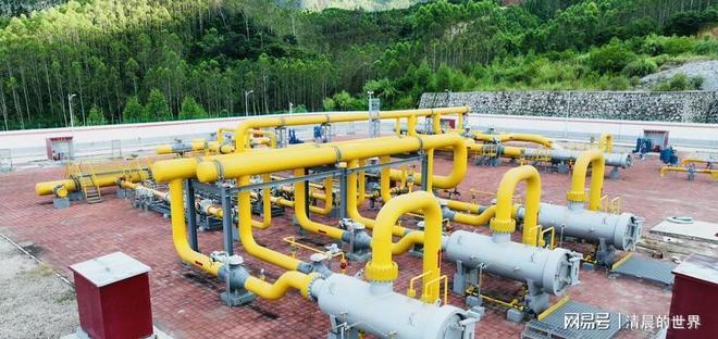 普京确定上半年访华专机启程前俄外长宣布：愿补中国能源短缺(图5)