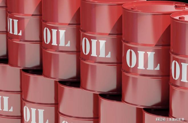 普京确定上半年访华专机启程前俄外长宣布：愿补中国能源短缺(图3)