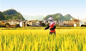 2024年中国清洁能源产业分析中国清洁能源发展前景广阔(图6)