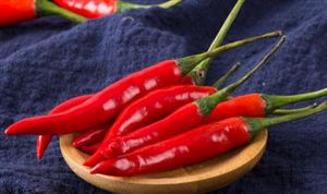 2024年中国清洁能源产业分析中国清洁能源发展前景广阔(图7)